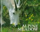 Alpine meadow /