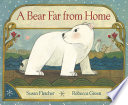 A bear far from home /