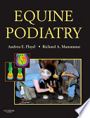 Equine podiatry /