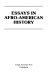Essays in Afro-American history /