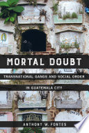 Mortal doubt : transnational gangs and social order in Guatemala City /