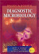 Bailey & Scott's diagnostic microbiology /