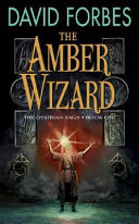 The amber wizard /