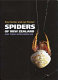 Spiders of New Zealand and their world-wide kin /