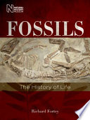 Fossils /