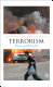 Terrorism : the new world disorder /