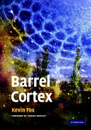 Barrel cortex /