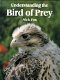 Understanding the bird of prey /