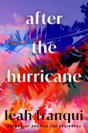 After the hurricane : a novel /
