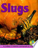 Slugs /