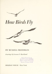 How birds fly /