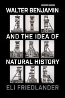 Walter Benjamin and the idea of natural history /