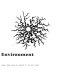 Chemistry and man's environment /