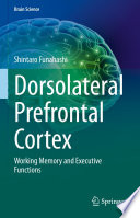 Dorsolateral Prefrontal Cortex : Working Memory and Executive Functions /