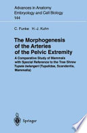 The morphogenesis of the arteries of the pelvic extremity : a comparative study of mammals with special reference to the tree shrew Tupaia belangeri (tupaiidae, scandentai, mammalia) /