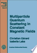 Multiparticle quantum scattering in constant magnetic fields /