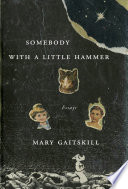 Somebody with a little hammer : essays /