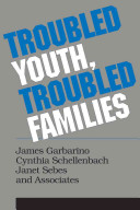 Troubled youth, troubled families : understanding families at risk for adolescent maltreatment /