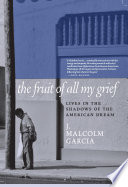 The fruit of all my grief : lives in the shadows of the American dream /