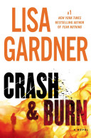 Crash & burn : a novel /