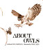 About owls /