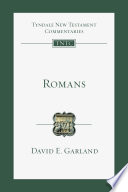 Romans : an introduction and commentary /