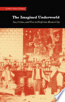 The imagined underworld : sex, crime, and vice in porfirian Mexico City /