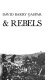Bondmen & rebels : a study of master-slave relations in Antigua, with implications for colonial British America /