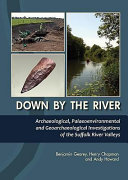 Down by the river : archaeological, palaeoenvironmental and geoarchaeological investigations of the Suffolk river valleys /