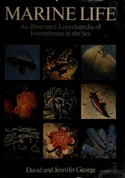 Marine life : an illustrated encyclopedia of invertebrates in the sea /