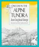 One day in the alpine tundra /