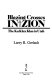 Blazing crosses in Zion : the Ku Klux Klan in Utah /