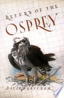 Return of the osprey : a season of flight and wonder /