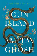 Gun island : a novel /