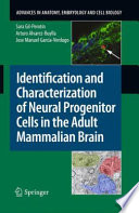 Identification and characterization of neural progenitor cells in the adult mammalian brain /