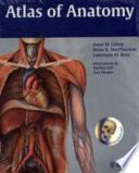 Atlas of anatomy /