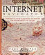 The Internet navigator /