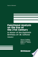 Functional Analysis on the Eve of the 21st Century : Volume I: In Honor of the Eightieth Birthday of I.M. Gelfand /