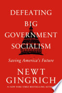 Defeating big government socialism : saving America's future /