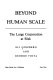 Beyond human scale : the large corporation at risk /