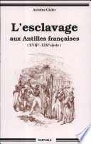 L'esclavage aux Antilles francaises (XVIIe-XIXe siecle) : contribution au probleme de l'esclavage /