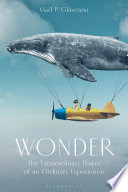 Wonder : the extraordinary power of an ordinary experience /