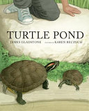 Turtle pond /