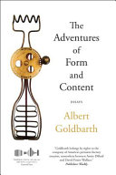 Adventures of form and content : essays /