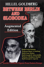 Between Berlin and Slobodka : Jewish transition figures from Eastern Europe /