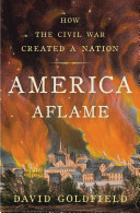 America aflame : how the Civil War created a nation /