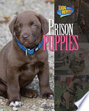 Prison puppies /