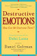 Destructive emotions : how can we overcome them? : a scientific collaboration with the Dalai Lama /