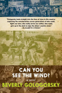 Can you see the wind? : a novel /