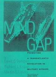 Mind the gap : promoting a transatlantic revolution in military affairs /